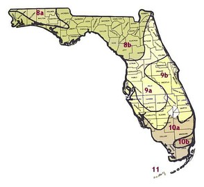 USDA Plant Hadiness Zone Map for Florida