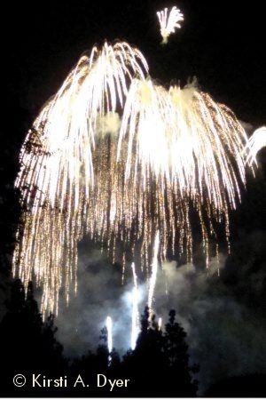 Fireworks over Disneyland