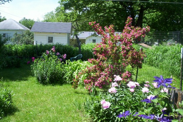 Another part of my flower garden