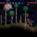 A walk through giode to Terraria