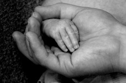 Babies have very small hands and nails - they are more difficult to cut than an adult's nail.
