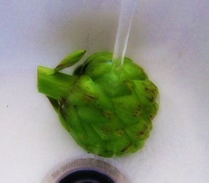 wash artichokes before cooking