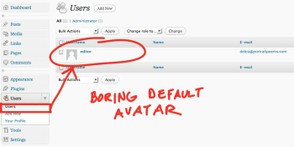 Default WordPress Avatar