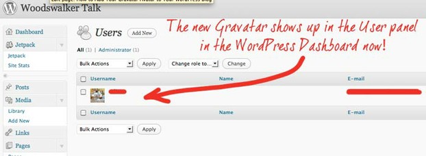 New Gravatar shows as your avatar in the Users panel