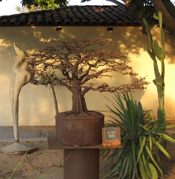 Rusty Iron Tree on Grounds of Shemer Art Center