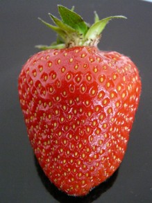 Huge Strawberry