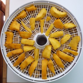 Halfway Dehydrated Mango Slices