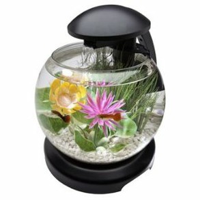 Tetra Aquarium