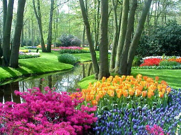 Keukenhof Gardens