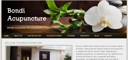 Bondi Acupuncture Clinic