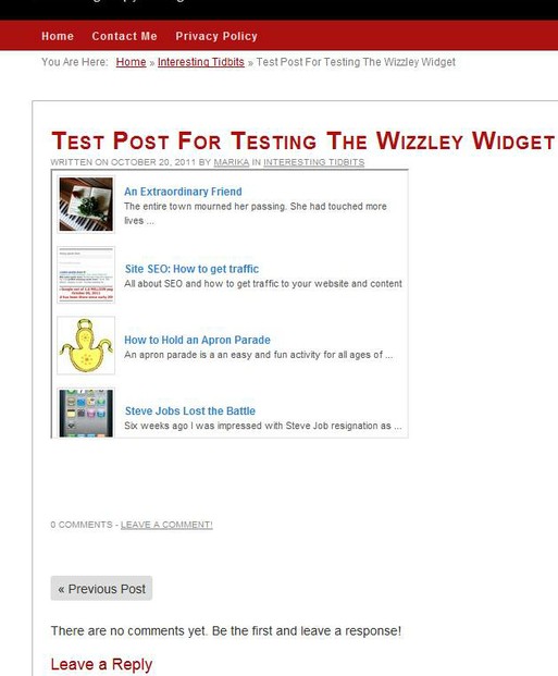 Wizzley widget on blog