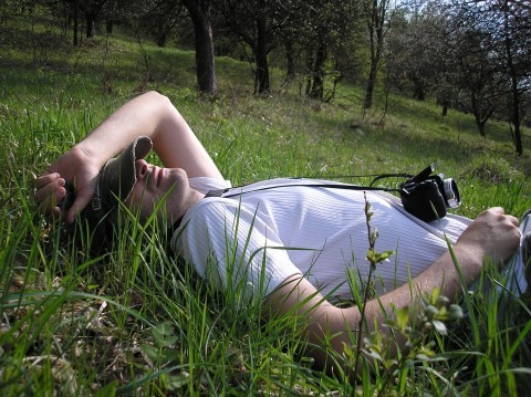 Man Relaxing in the Grass