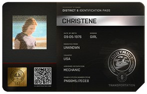 District Identification Pass