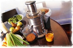 Breville 800JEXL Elite Juicer