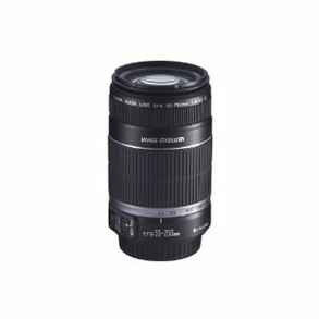 Canon EF-55-250mm lens