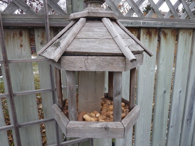 Our Old Bird Feeder