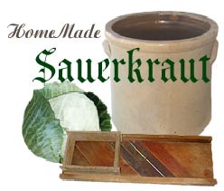 Kraut