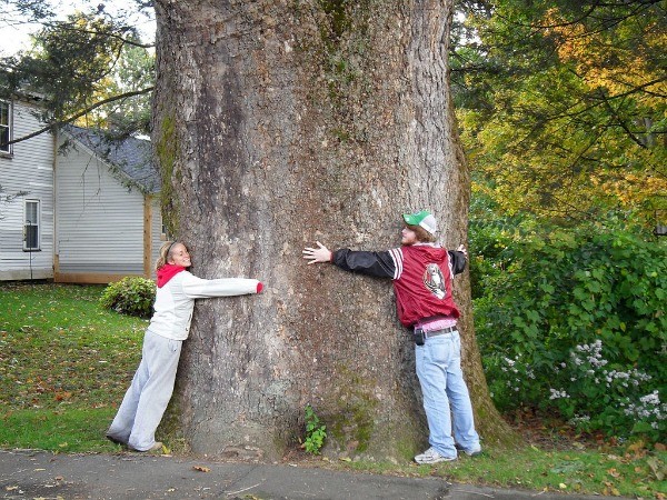 Giving Trees Some Love