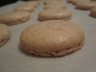 Macaron out of the oven - note the foot
