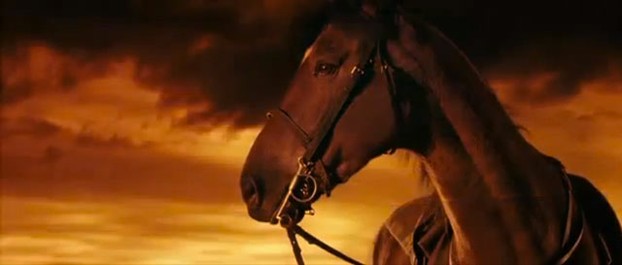 War Horse