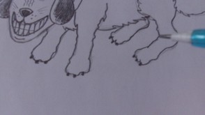 Draw In Small Black Claws On Feet, 3 On Each
