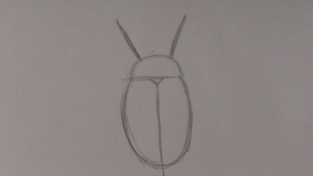 Draw Antennas On The Head