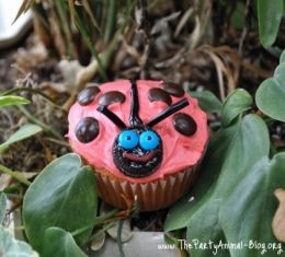 Lady Bug Cupcake