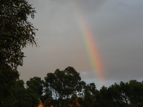The Arc of a Rainbow
