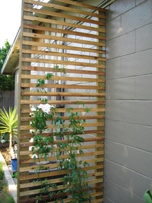 An Arbor Can Be Used to Hide an Unsightly Unit