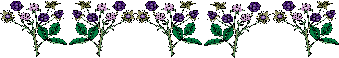 blackberry vines