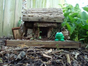 frog house