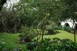 Japanese Garden next to East-West Center