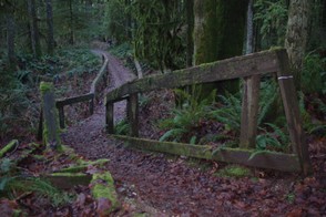 Hiking Trails