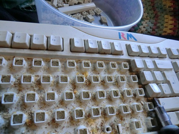 Image: Taking the keys off a computer keyboard.
