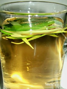 Olive leaf herbal tea