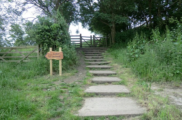 Image: Steps leading onto Glastonbury Tor.