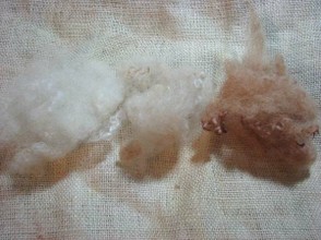 Left: undyed wool Center; after 30 minutes in dye bath, Right: Left in dyebath overnight