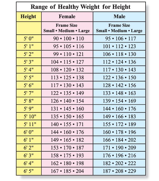 Height Weight Bone Structure Chart