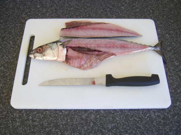 First fillet is removed from mackerel and laid aside