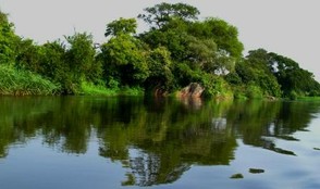 Nile Reflections