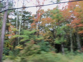 Autumn Drive 2
