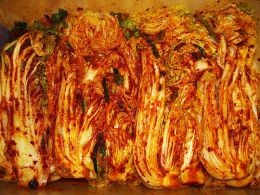 Newly fermented Kimchi made of Napa Cabbage and Korean Radishes