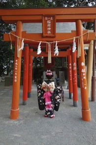 753 Shrine Inari Kimono Japan