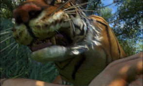 The tigers are pretty scary too...