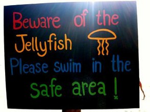 Jelly Fish Warning on The Beach