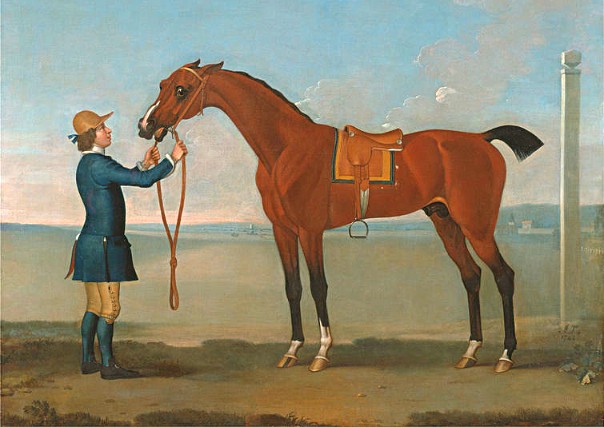 Flying Childers, born 1715, owned by the Duke of Devonshire, painted by James Seymour.