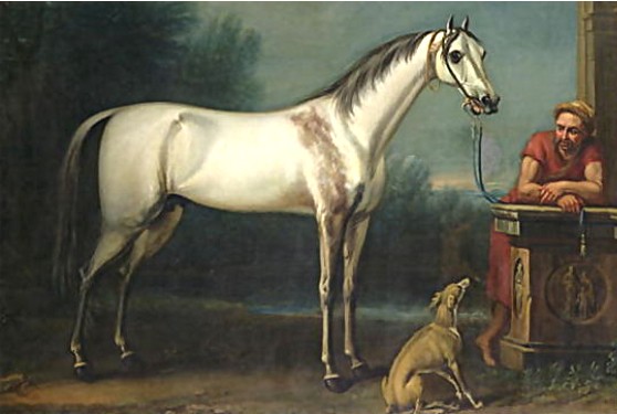 The Bloody-Shouldered Arabian, foaled in 1713, imported into England in 1719.