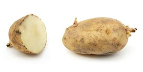 Russet-Burbank Potato