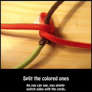 Splitting the cords in half