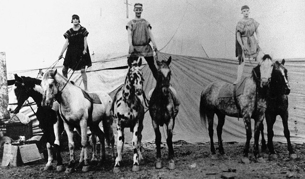 Carson & Barnes Circus leopard horse, 1919. This circus had 6 Appaloosas.